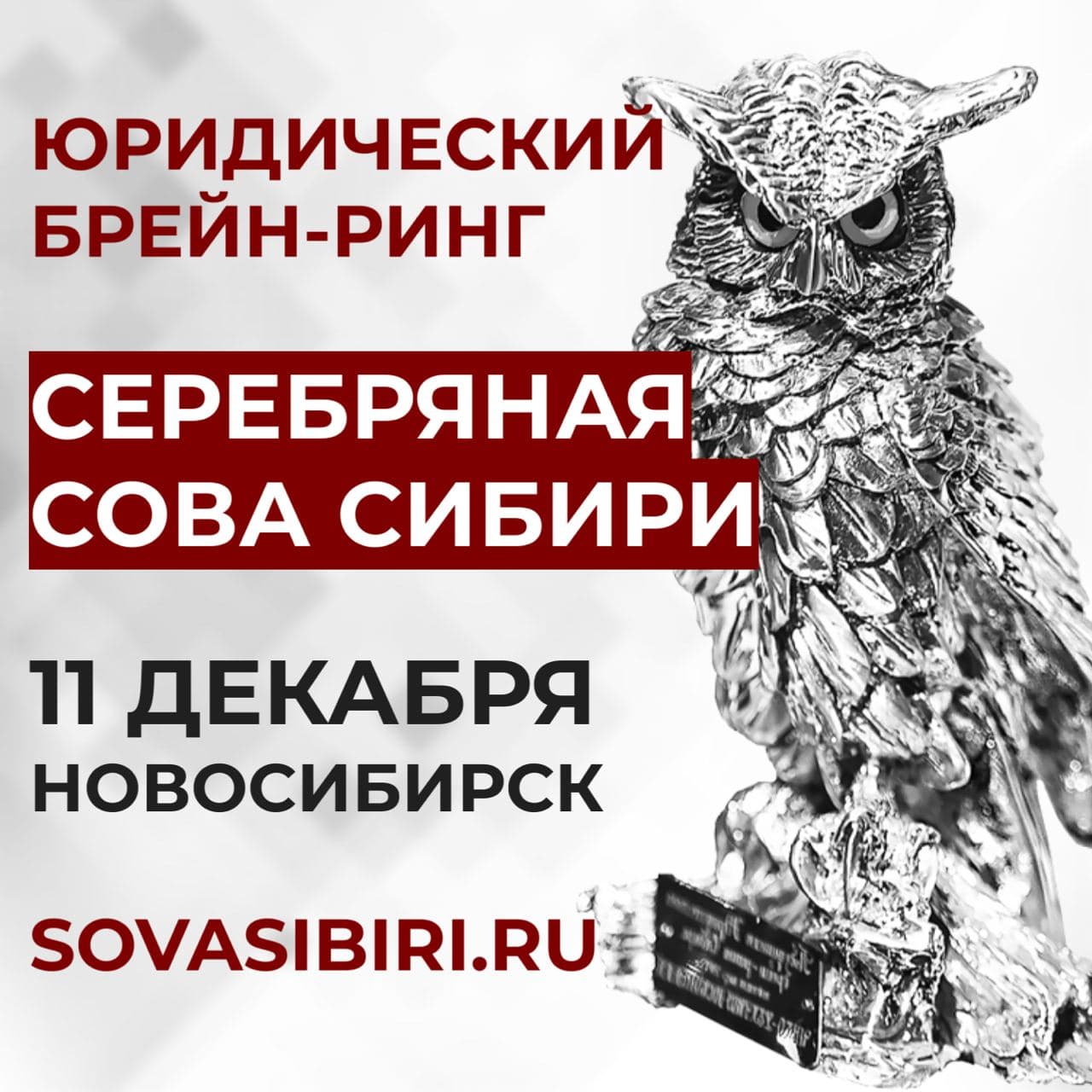 Серебряная Сова Сибири 2021